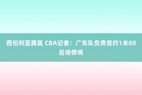 西伯利亚属鼠 CBA记者：广东队负责签约1米88后场悍将