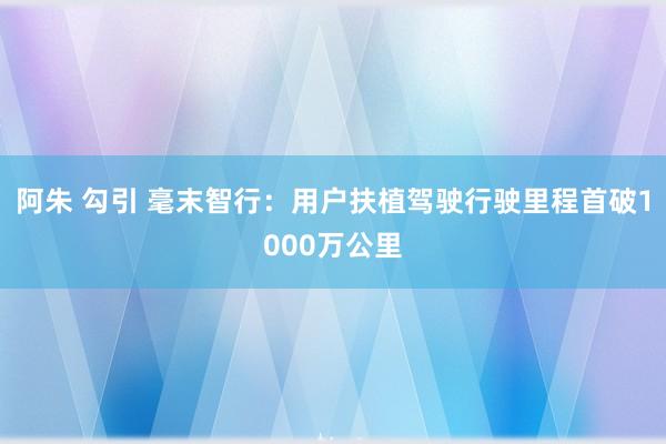 阿朱 勾引 毫末智行：用户扶植驾驶行驶里程首破1000万公里