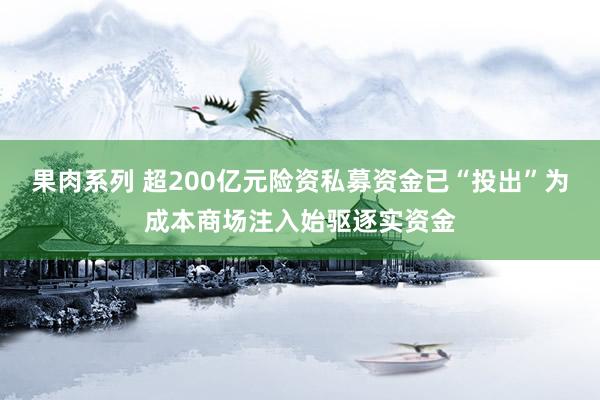 果肉系列 超200亿元险资私募资金已“投出”为成本商场注入始驱逐实资金