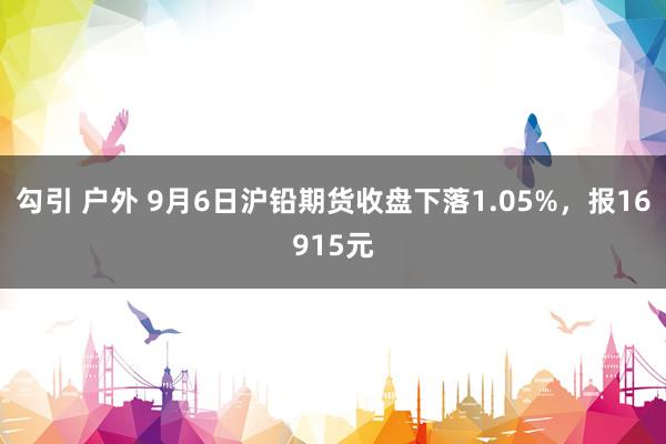 勾引 户外 9月6日沪铅期货收盘下落1.05%，报16915元