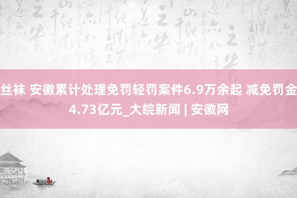 丝袜 安徽累计处理免罚轻罚案件6.9万余起 减免罚金4.73亿元_大皖新闻 | 安徽网