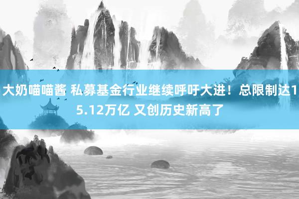 大奶喵喵酱 私募基金行业继续呼吁大进！总限制达15.12万亿 又创历史新高了