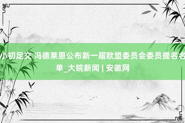 小初足交 冯德莱恩公布新一届欧盟委员会委员提名名单_大皖新闻 | 安徽网