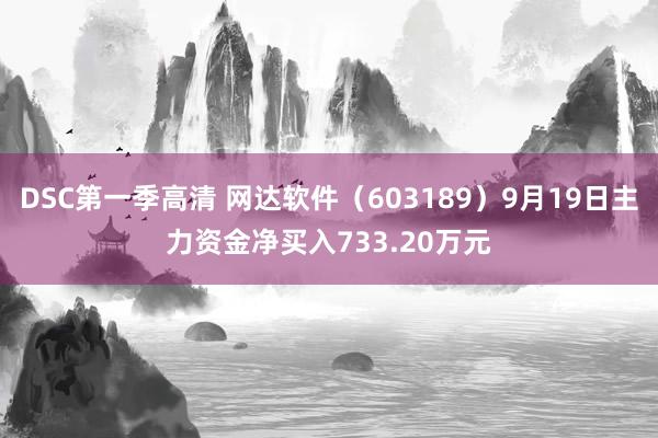 DSC第一季高清 网达软件（603189）9月19日主力资金净买入733.20万元