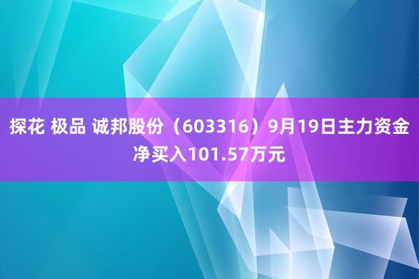 探花 极品 诚邦股份（603316）9月19日主力资金净买入101.57万元