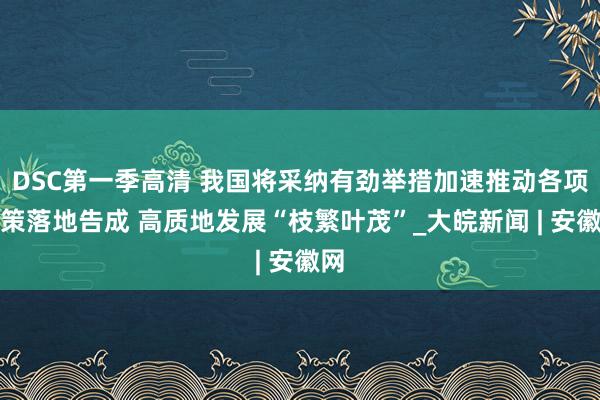 DSC第一季高清 我国将采纳有劲举措加速推动各项政策落地告成 高质地发展“枝繁叶茂”_大皖新闻 | 安徽网