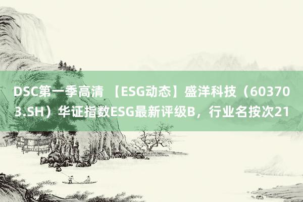 DSC第一季高清 【ESG动态】盛洋科技（603703.SH）华证指数ESG最新评级B，行业名按次21