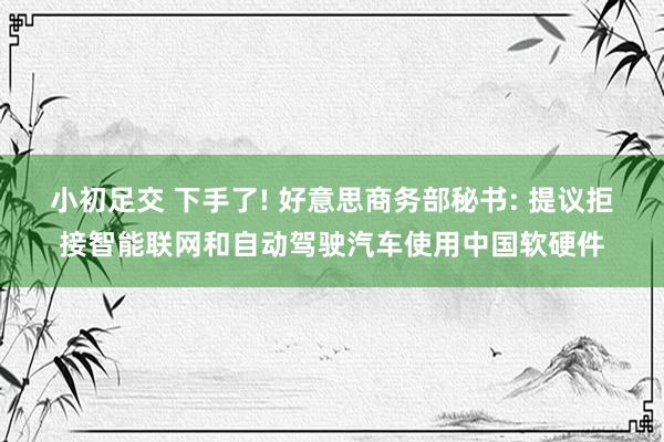 小初足交 下手了! 好意思商务部秘书: 提议拒接智能联网和自动驾驶汽车使用中国软硬件