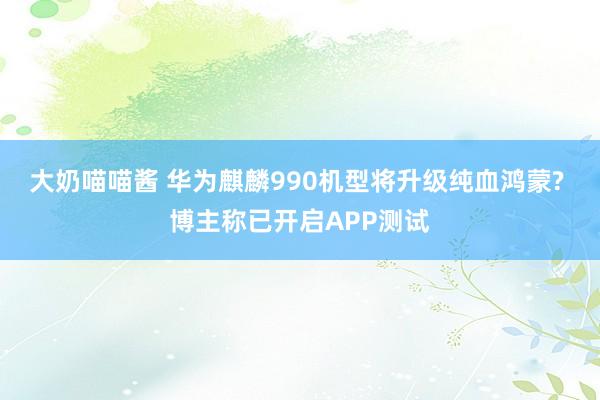 大奶喵喵酱 华为麒麟990机型将升级纯血鸿蒙? 博主称已开启APP测试