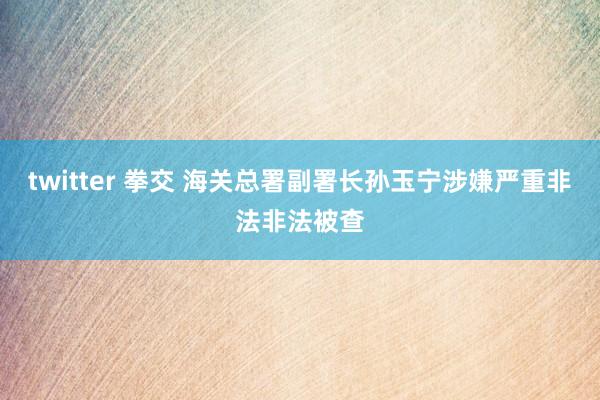 twitter 拳交 海关总署副署长孙玉宁涉嫌严重非法非法被查