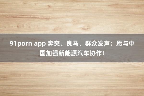 91porn app 奔突、良马、群众发声：愿与中国加强新能源汽车协作！