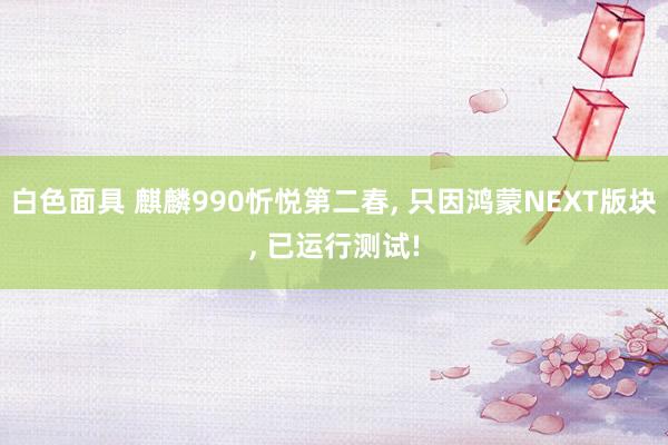 白色面具 麒麟990忻悦第二春， 只因鸿蒙NEXT版块， 已运行测试!