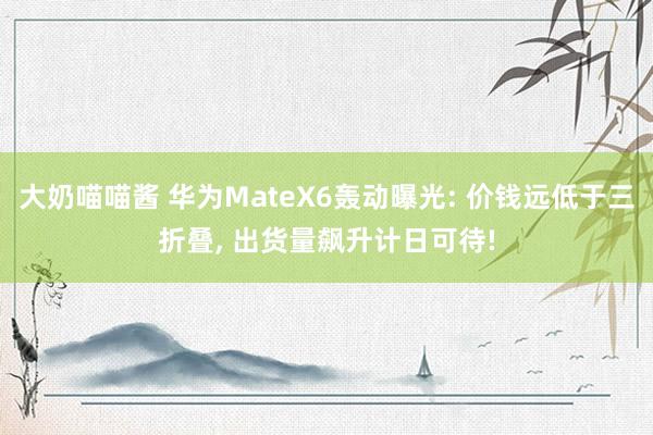 大奶喵喵酱 华为MateX6轰动曝光: 价钱远低于三折叠， 出货量飙升计日可待!