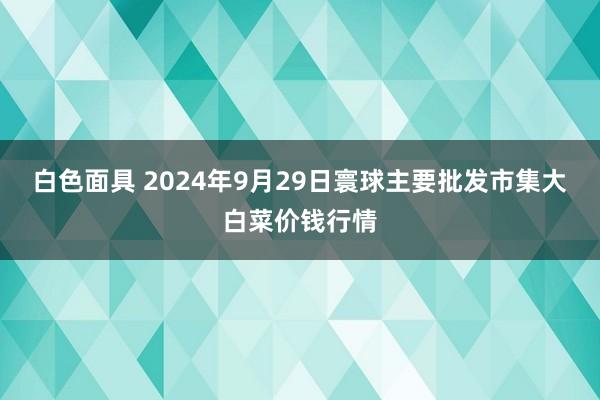 白色面具 2024年9月29日寰球主要批发市集大白菜价钱行情