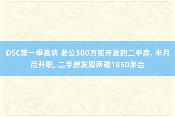 DSC第一季高清 老公300万买开发的二手房， 半月后升职， 二手房发现两箱1850茅台