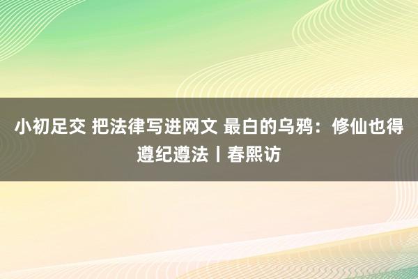 小初足交 把法律写进网文 最白的乌鸦：修仙也得遵纪遵法丨春熙访