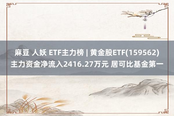 麻豆 人妖 ETF主力榜 | 黄金股ETF(159562)主力资金净流入2416.27万元 居可比基金第一