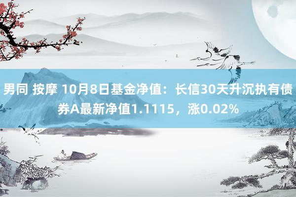 男同 按摩 10月8日基金净值：长信30天升沉执有债券A最新净值1.1115，涨0.02%