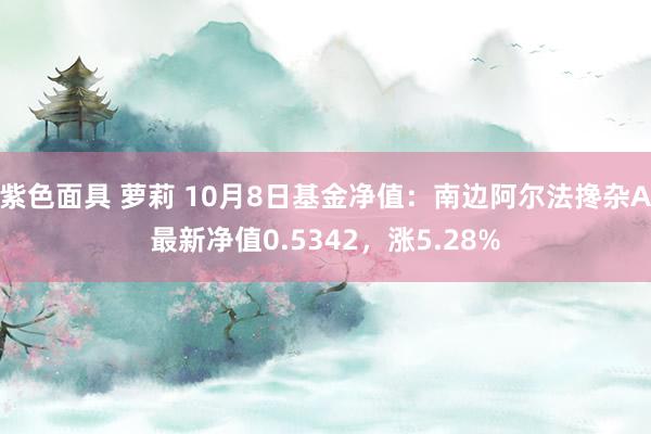 紫色面具 萝莉 10月8日基金净值：南边阿尔法搀杂A最新净值0.5342，涨5.28%