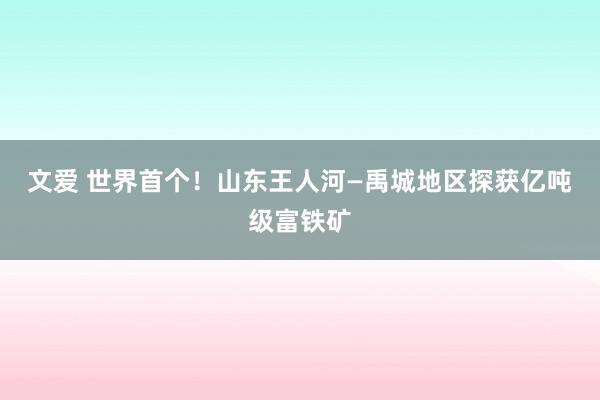 文爱 世界首个！山东王人河—禹城地区探获亿吨级富铁矿