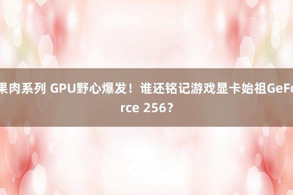 果肉系列 GPU野心爆发！谁还铭记游戏显卡始祖GeForce 256？