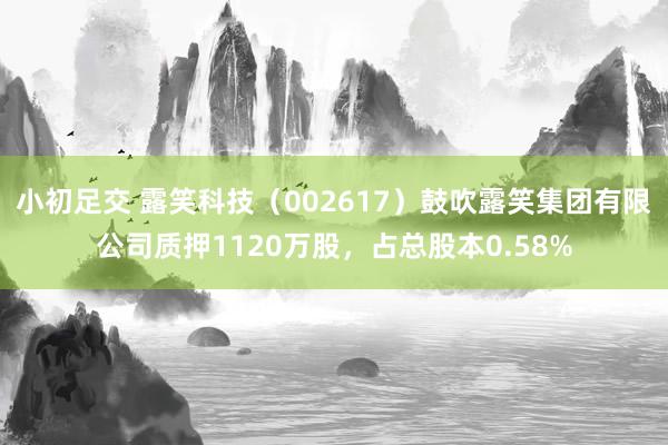 小初足交 露笑科技（002617）鼓吹露笑集团有限公司质押1120万股，占总股本0.58%