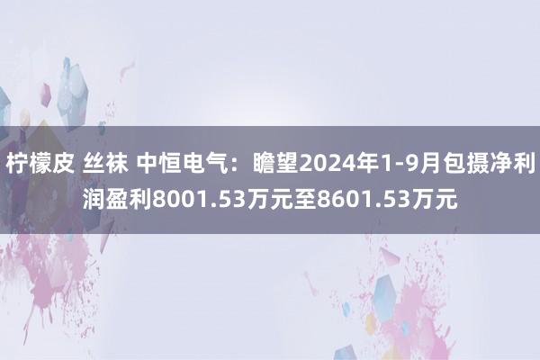 柠檬皮 丝袜 中恒电气：瞻望2024年1-9月包摄净利润盈利8001.53万元至8601.53万元