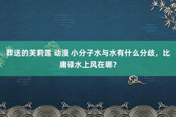 葬送的芙莉莲 动漫 小分子水与水有什么分歧，比庸碌水上风在哪？