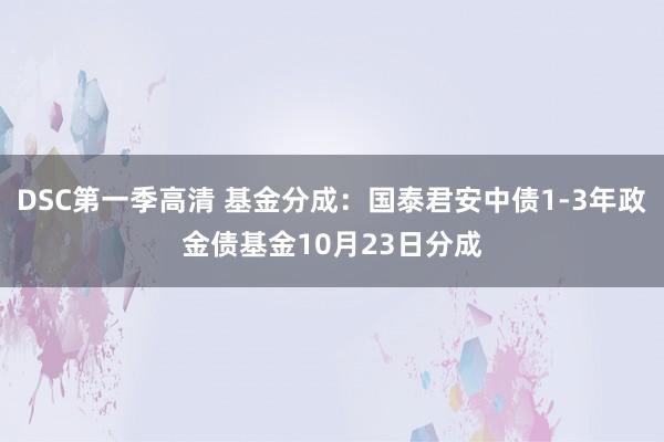 DSC第一季高清 基金分成：国泰君安中债1-3年政金债基金10月23日分成