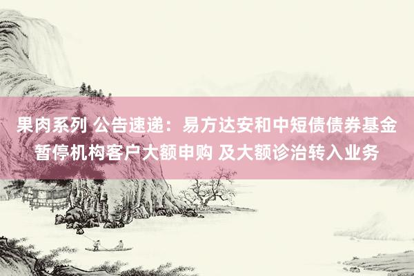 果肉系列 公告速递：易方达安和中短债债券基金暂停机构客户大额申购 及大额诊治转入业务