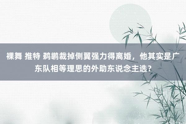 裸舞 推特 鹈鹕裁掉侧翼强力得离婚，他其实是广东队相等理思的外助东说念主选？