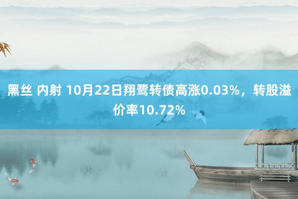 黑丝 内射 10月22日翔鹭转债高涨0.03%，转股溢价率10.72%