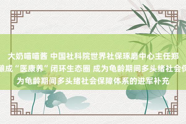 大奶喵喵酱 中国社科院世界社保琢磨中心主任郑秉文：保障业基本酿成“医康养”闭环生态圈 成为龟龄期间多头绪社会保障体系的进军补充