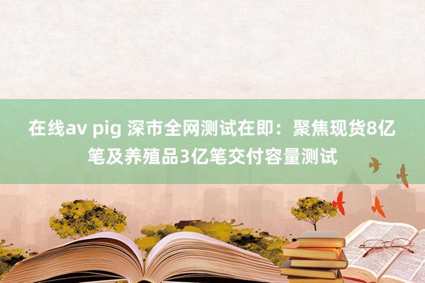 在线av pig 深市全网测试在即：聚焦现货8亿笔及养殖品3亿笔交付容量测试