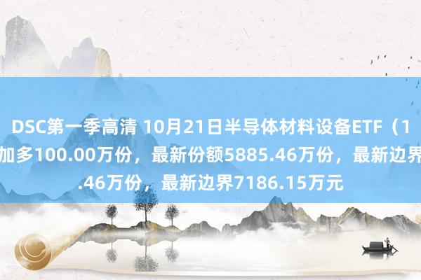 DSC第一季高清 10月21日半导体材料设备ETF（159558）份额加多100.00万份，最新份额5885.46万份，最新边界7186.15万元