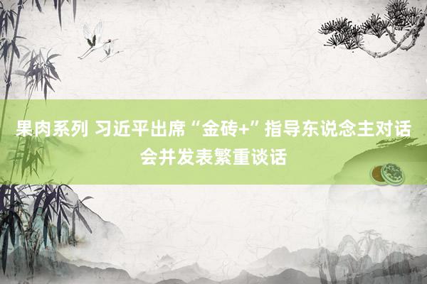 果肉系列 习近平出席“金砖+”指导东说念主对话会并发表繁重谈话