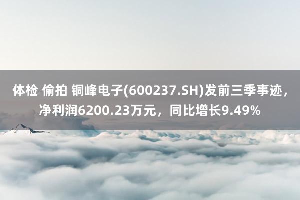 体检 偷拍 铜峰电子(600237.SH)发前三季事迹，净利润6200.23万元，同比增长9.49%