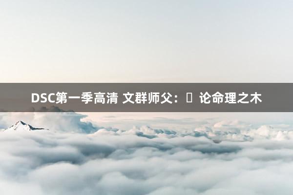 DSC第一季高清 文群师父：​论命理之木