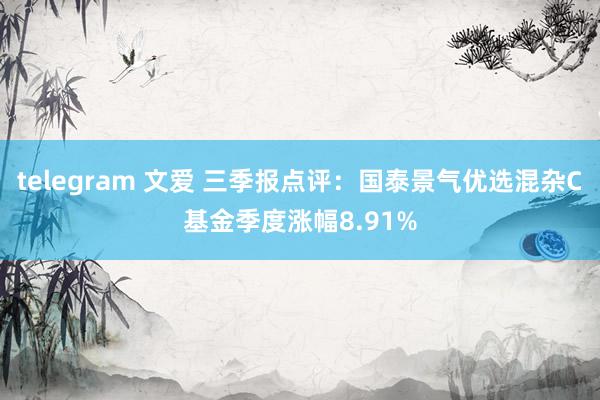 telegram 文爱 三季报点评：国泰景气优选混杂C基金季度涨幅8.91%