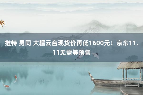 推特 男同 大疆云台现货价再低1600元！京东11.11无需等预售