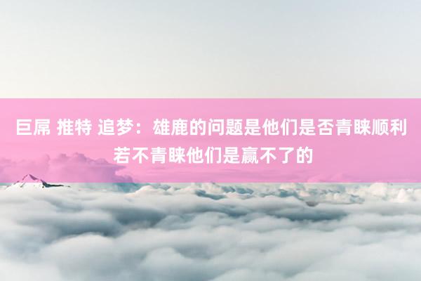 巨屌 推特 追梦：雄鹿的问题是他们是否青睐顺利 若不青睐他们是赢不了的