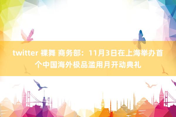 twitter 裸舞 商务部：11月3日在上海举办首个中国海外极品滥用月开动典礼