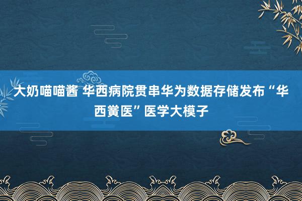 大奶喵喵酱 华西病院贯串华为数据存储发布“华西黉医”医学大模子