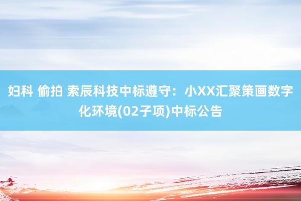 妇科 偷拍 索辰科技中标遵守：小XX汇聚策画数字化环境(02子项)中标公告