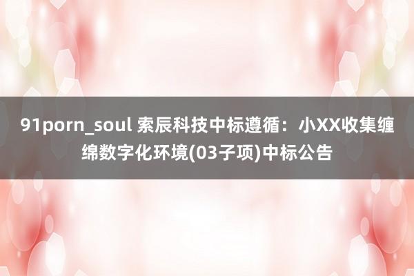 91porn_soul 索辰科技中标遵循：小XX收集缠绵数字化环境(03子项)中标公告