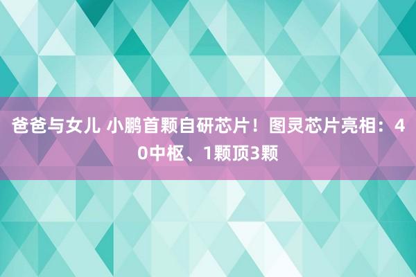 爸爸与女儿 小鹏首颗自研芯片！图灵芯片亮相：40中枢、1颗顶3颗