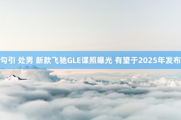 勾引 处男 新款飞驰GLE谍照曝光 有望于2025年发布