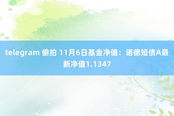 telegram 偷拍 11月6日基金净值：诺德短债A最新净值1.1347