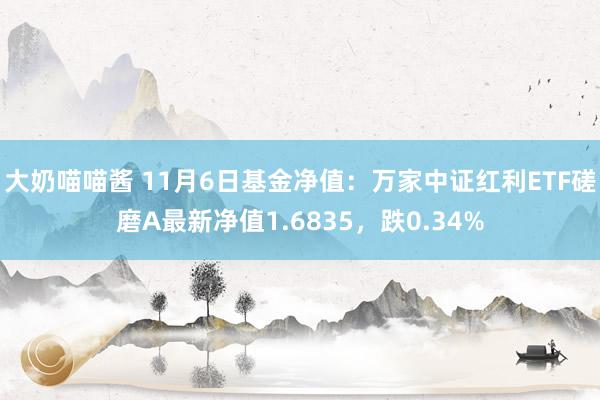 大奶喵喵酱 11月6日基金净值：万家中证红利ETF磋磨A最新净值1.6835，跌0.34%