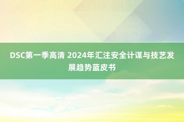 DSC第一季高清 2024年汇注安全计谋与技艺发展趋势蓝皮书